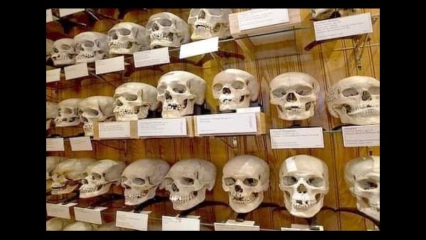 France Returned The Skulls Of Algerians Who Fought Against French Colonialists