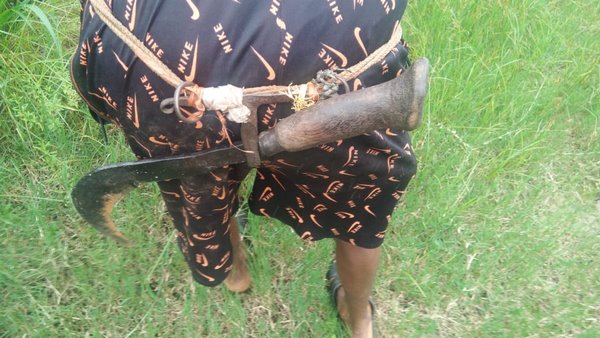 When Youth Will Adopt Professionalism In Agriculture