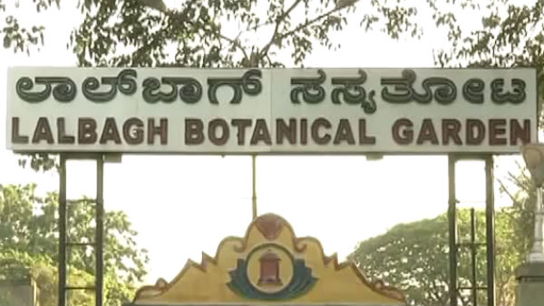 50 ರಿಂದ 60 ಸಾವಿರ ಜನರ ಭೇಟಿ