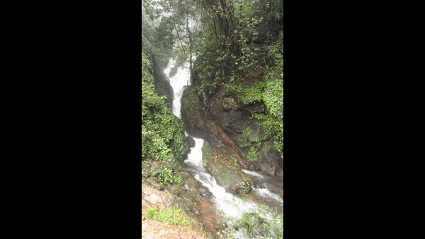  ನೋಡಬಹುದಾದ ಜಲಧಾರೆಗಳು ಹೀಗಿವೆ..