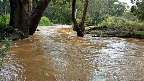  ಕೆರೆಗಳಿಗೂ ನೀರು ಹರಿದು ಬರುತ್ತಿದೆ