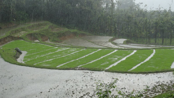 Harangi Reservoir Water Level Increased Due To Rain In Kodagu