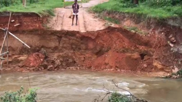 Chikkamagaluru: Temporary Bridge Collapses Into Hemavathi River in Bankenahalli