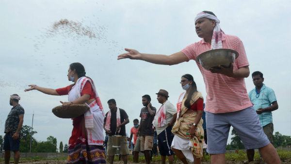 ಜಾಗತಿಕವಾಗಿ ಬೀಜ ವಹಿವಾಟು 14 ಬಿಲಿಯನ್ ಡಾಲರ್