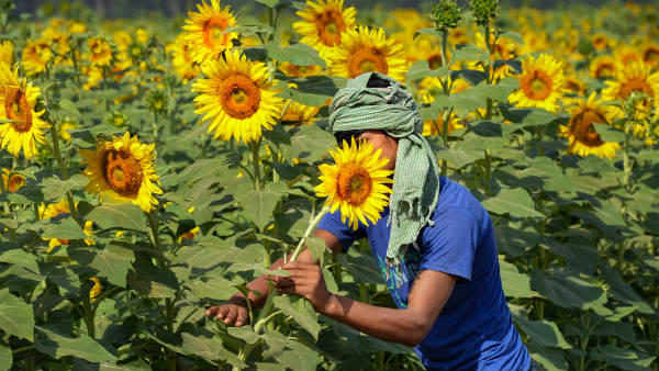  ಅವಕಾಶಗಳನ್ನು ಬಳಸಿಕೊಳ್ಳುವ ಮನಸ್ಸು ಮಾಡಬೇಕು