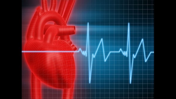 ಅಮೆರಿಕನ್ ಮೆಡಿಕಲ್ ಅಸೋಸಿಯೇಷನ್ ನೀಡಿದ ವರದಿ 