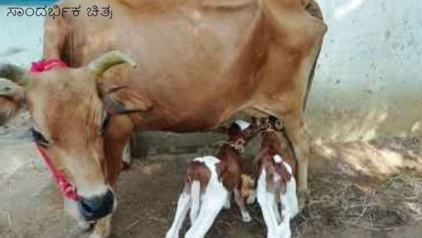 ಸ್ಮಾರ್ಟ್‌ಫೋನ್‌ ಇಲ್ಲವಾದರೆ ಕಷ್ಟ ಎಂದ ಶಿಕ್ಷಕರು