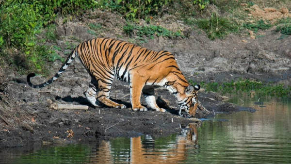  ನಿಸರ್ಗದಲ್ಲಿ ಚೈತನ್ಯ ಮೂಡಿಸಿದ ಹೊಳೆ