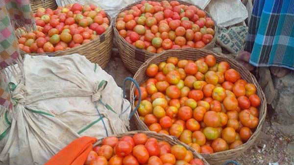 Due To Supply Shortage: Tomato Prices Rs 50-60/Kg In Delhi Due To Supply Shortage: Tomato Prices Rs 50-60/Kg In Delhi