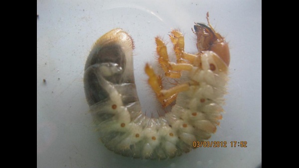  ರೈತರಿಗೆ ವಿಶೇಷ ಸಲಹೆಗಳು