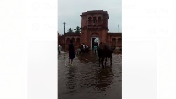 Belagavi: Water Overflows In Gokak Falls Due To Heavy Rain