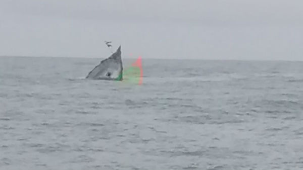 Udupi: A Fishing Boat That Crashed To The Rock, 7 Fishermen Safe