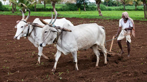ಬೆಳೆ ಸಮೀಕ್ಷೆ ಆ್ಯಪ್ ಬಿಡುಗಡೆ