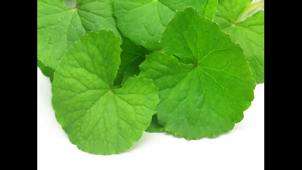  ಬ್ಯೂಟಿ ಪ್ರಾಡಕ್ಟ್ ವಿವರಿಸುವವನಿಗೆ ಅರಿಶಿಣ ಗಿಡವೇ ಗೊತ್ತಿಲ್ಲ