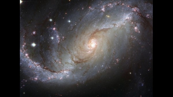 ಈ ತಂಡದಲ್ಲಿ ಯಾವ್ಯಾವ ದೇಶಗಳಿವೆ? 