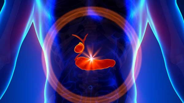 ಸಮಸ್ಯೆಗೆ ಬೇರೆ ಕಾರಣಗಳಿಲ್ಲ