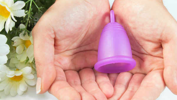  ಬೆಂಗಳೂರಿನಲ್ಲಿ ಕಾಂಫಿ ಕಪ್ ಸ್ಥಾಪನೆ