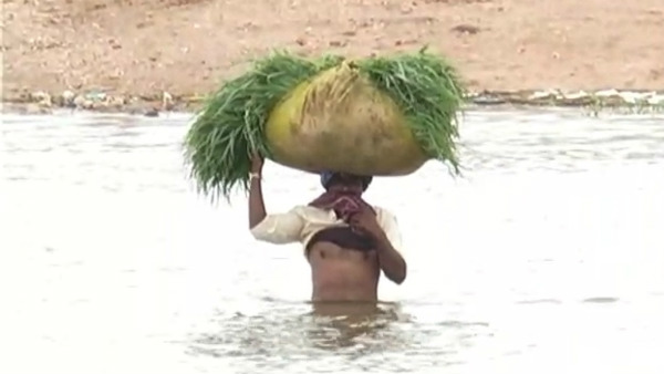  ಅಪಾಯದ ಮಟ್ಟಕ್ಕೆ ಹರಿಯುತ್ತಿರುವ ನದಿ