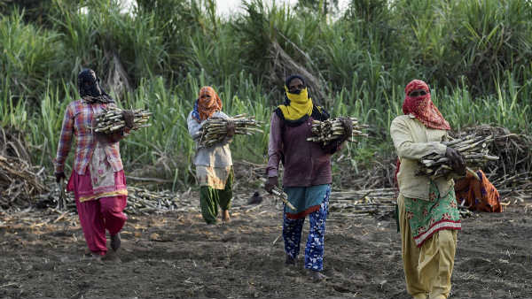 ರೈತ ಸಂಪರ್ಕ ಕೇಂದ್ರಕ್ಕೇ ಭೇಟಿ ಕೊಡಿ