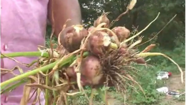  ತಜ್ಞ ಡಾ.ಎಂ. ನಾರಾಯಣಸ್ವಾಮಿ ಸಲಹೆ