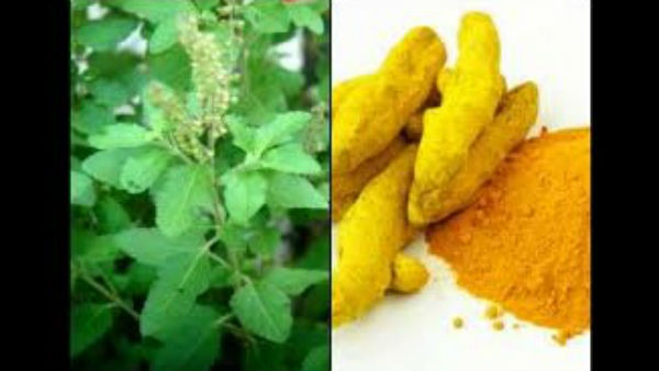 ಅರಸಿನ, ತುಳಸಿ 