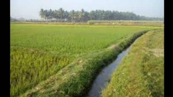 ಕಾನೂನು ಮೀರಿ ಕೃಷಿ ಭೂಮಿ ಖರೀದಿ