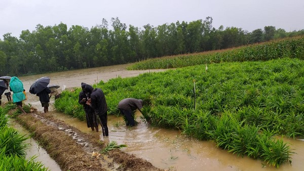  ಜಮೀನಿಗೆ ನುಗ್ಗಿದ ಲಕ್ಷ್ಮಣತೀರ್ಥ ನೀರು