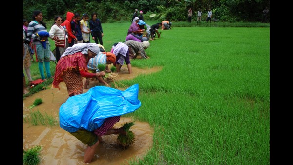 ಹಿರಿಯರು ಜಾರಿಗೆ ತಂದ ಆಚರಣೆ ಪಾಲನೆ