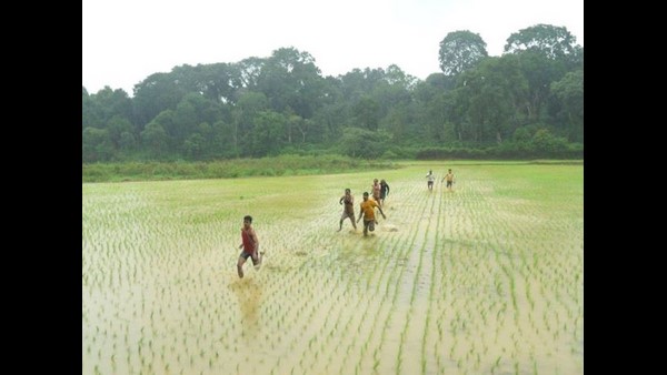  ನಾಟಿ ಗದ್ದೆಯಲ್ಲಿಯೇ ಮನರಂಜನೆ 