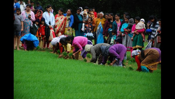 ಜುಲೈ 17ರಿಂದ ಕಕ್ಕಡ ಮಾಸ ಆರಂಭ
