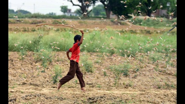  ಈಚಿನ ವರದಿ ಹೀಗಿದೆ...