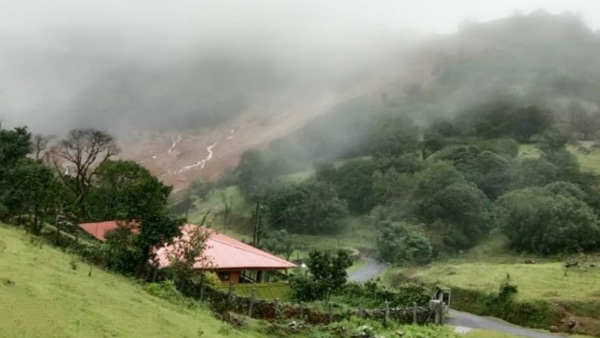  ಅರಣ್ಯ ಇಲಾಖೆ ವಿರುದ್ಧವೇ ಆರೋಪ 