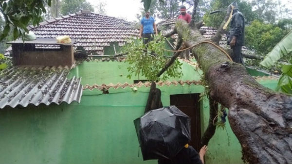  ರಸ್ತೆಗೆ ಬಿದ್ದಿದ್ದ ಮರಗಳ ತೆರವು ಕಾರ್ಯಾಚರಣೆ