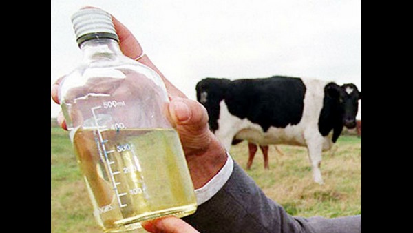 ಕೆಲವು ನಾಯಕರಿಂದ ಅಮಾನವೀಯ ವಿಚಾರಕ್ಕೆ ಪ್ರಚಾರ