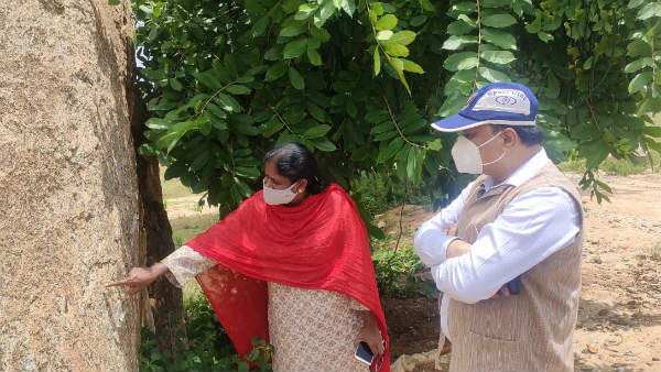  ಭೂಗರ್ಭಶಾಸ್ತ್ರದ ಅಧ್ಯಯನಕ್ಕೆ ಅನುಕೂಲ