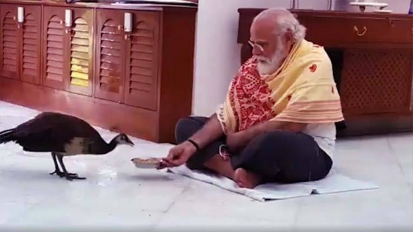 ಇದು ಪ್ರಾಣಿ ಕೋಮುವಾದ