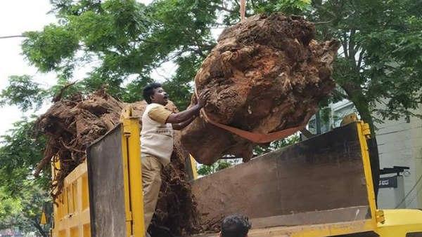 Finally Silk Board Junction Corridor Open For Vehicle Finally Silk Board Junction Corridor Open For Vehicle