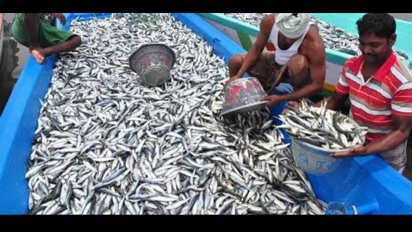 Udupi: Deep Sea Fishing Start With Covid-19 Rules Enforcement