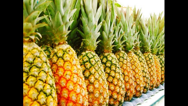  ಬಾಧಿಸುವ ರೋಗಗಳತ್ತ ಎಚ್ಚರಿಕೆ ಅಗತ್ಯ 