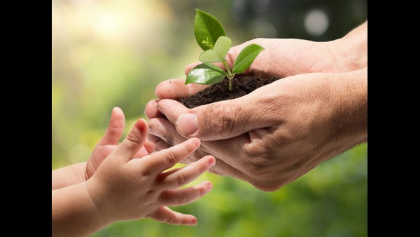  ಕೆರೆಗಳಿಗೆ ಶಾಶ್ವತ ಬೇಲಿ ಹಾಕಿಸಲು ಸಲಹೆ 