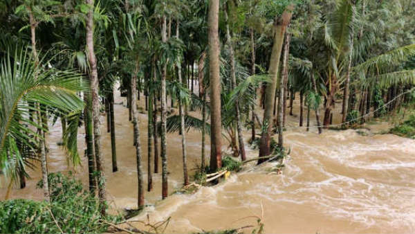 ಎಲ್ಲಿ, ಎಷ್ಟು ಮಳೆಯಾಗಿದೆ?