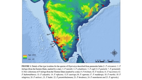  ಅವನತಿಯ ಅಂಚಿನಲ್ಲಿ ಜೀವವೈವಿಧ್ಯಗಳು