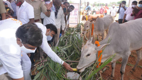 ಡ್ರಗ್ಸ್ ಮಾಫಿಯಾ ಬೆಂಗಳೂರಿನಲ್ಲಿ ವ್ಯಾಪಕ 
