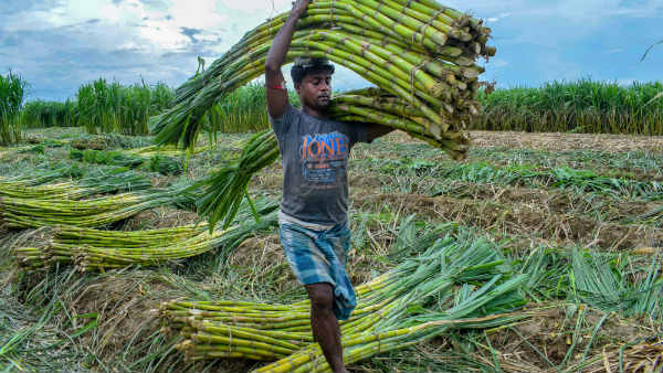 ನಿರ್ವಹಣೆ ಕ್ರಮಗಳು