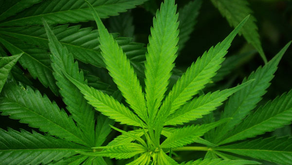 ಸೌದಿ ಅವಮಾನ ಕಲಿಸಿತಾ ಪಾಠ..? ಸೌದಿ ಅವಮಾನ ಕಲಿಸಿತಾ ಪಾಠ..?