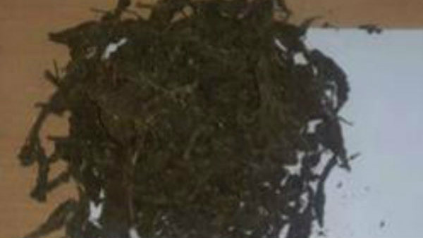 ಉಗ್ರರ ಕೈಗೆ ಸಿಕ್ಕರೆ ಮುಗೀತು ಕತೆ..! ಉಗ್ರರ ಕೈಗೆ ಸಿಕ್ಕರೆ ಮುಗೀತು ಕತೆ..!