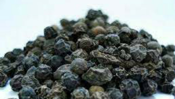 ಶಾಸಕರು ಭಾಗಿ