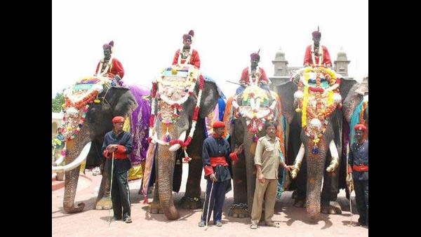 9 ರಿಂದ 12 ಆನೆಗಳನ್ನು ಕರೆತರಲು ತಯಾರಿ