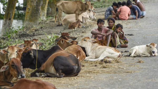 ಜ್ವರ, ಚರ್ಮದ ಮೇಲೆ ಗಡ್ಡೆ
