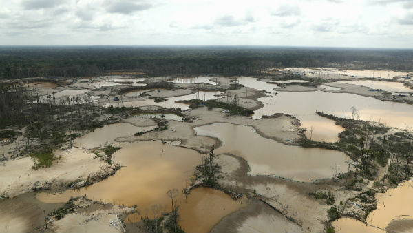 ನೂರಾರು ಕೋಟಿ ಎಕರೆ ಅರಣ್ಯ..!
